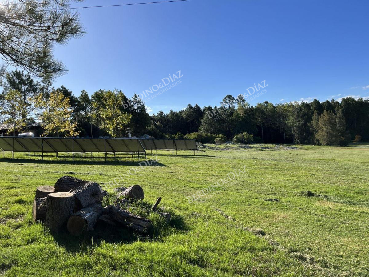 Chacra ID.2332 - Chacra en venta 17 hectareas con casa sobre Laguna del Sauce
