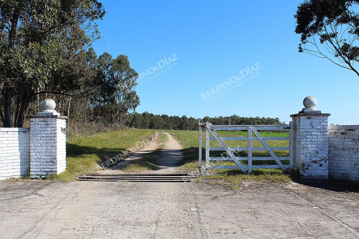 Chacra ID.2362 - Chacra campo en venta Camino Eguzquiza 132 Hectareas