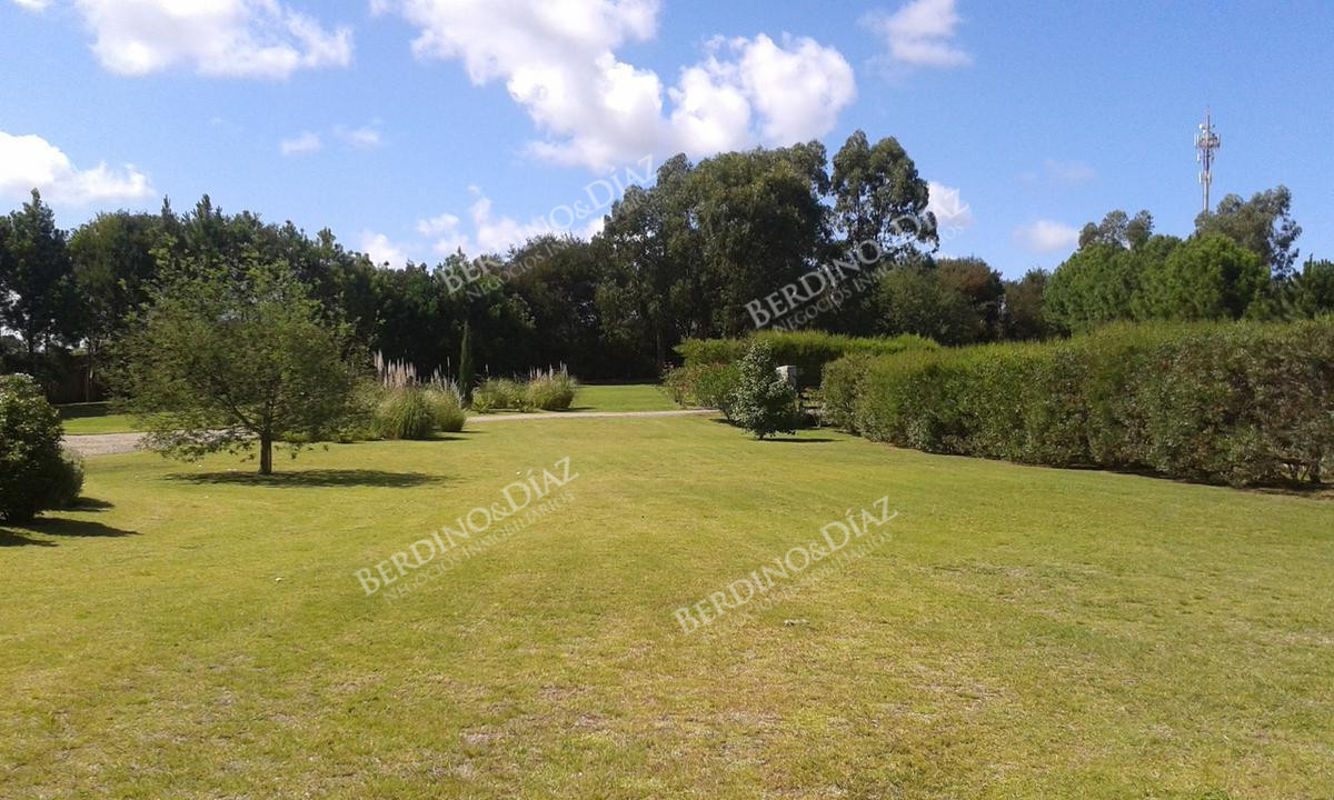 Chacra ID.2164 - Chacra en venta en Punta Piedras Punta del Este 