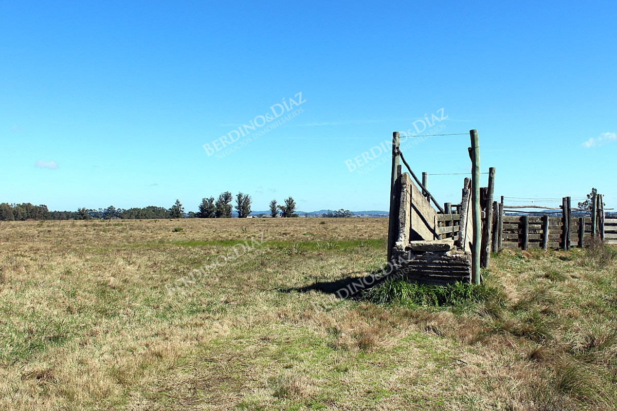 Chacra ID.2362 - Chacra campo en venta Camino Eguzquiza 132 Hectareas