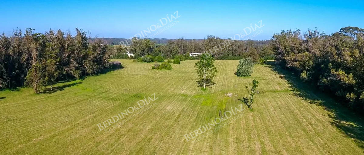 Chacra ID.2312 - Chacra en venta Camino Cerro Eguzquiza 11 hectareas