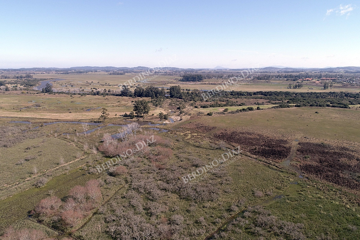 Chacra ID.2362 - Chacra campo en venta Camino Eguzquiza 132 Hectareas