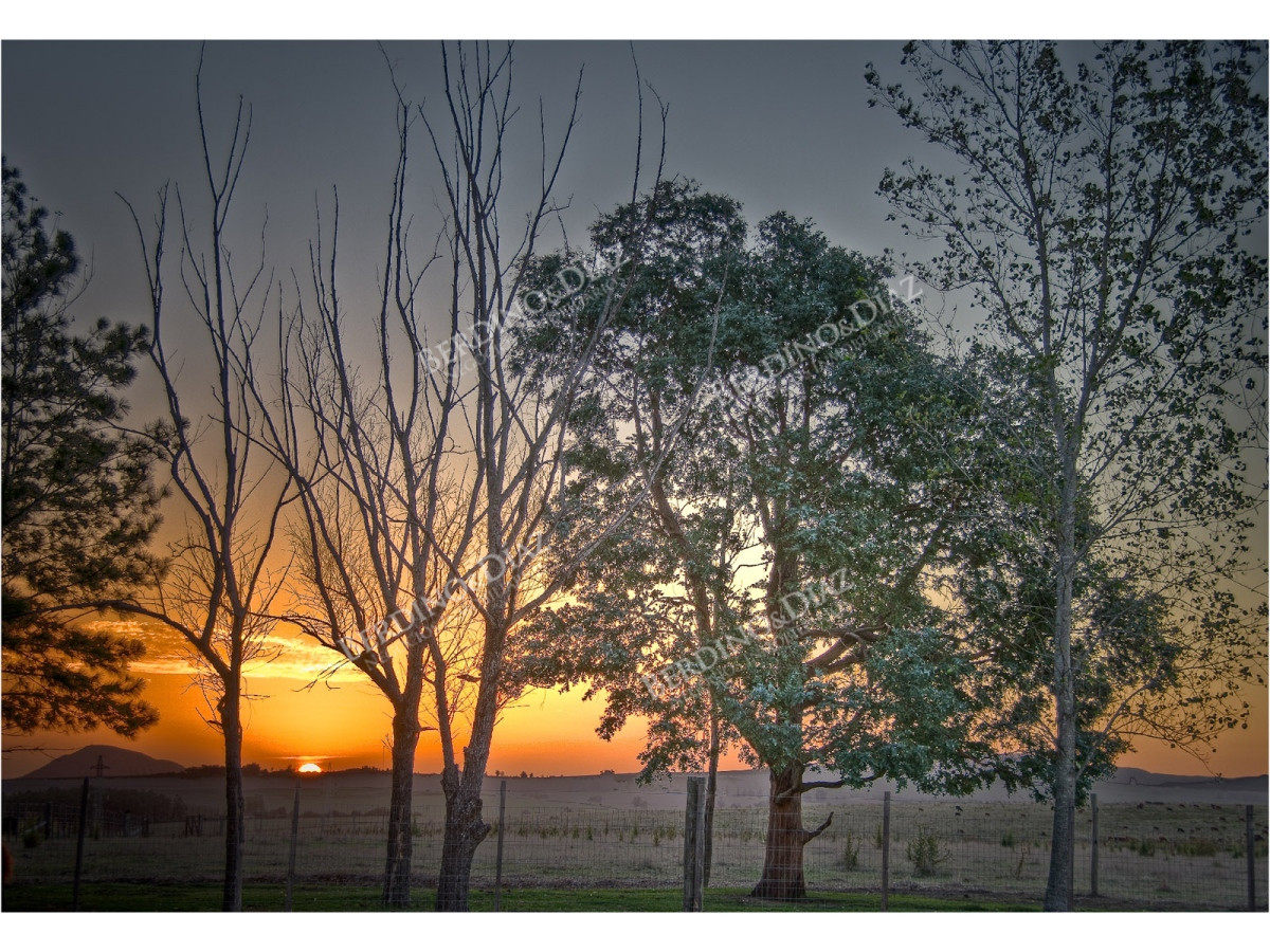 Chacra ID.2383 - Chacra de eventos en venta 30 hectareas Laguna del Sauce