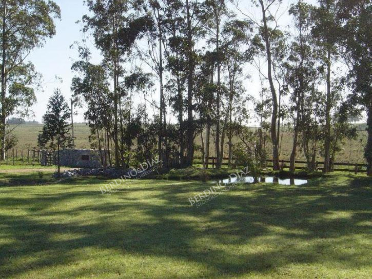 Chacra ID.2127 - Chacra Casa de campo en venta  La Barra Maldonado 5 hectareas