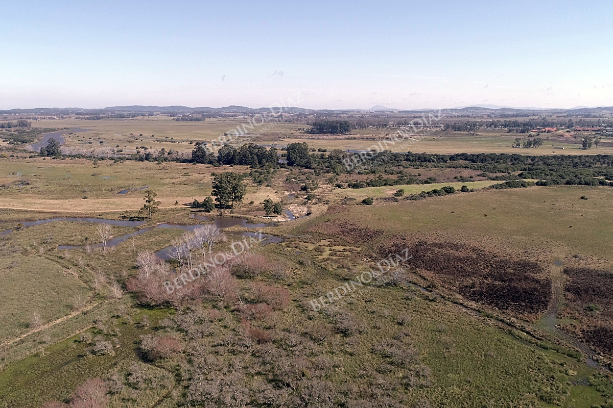 Chacra ID.2362 - Chacra campo en venta Camino Eguzquiza 132 Hectareas