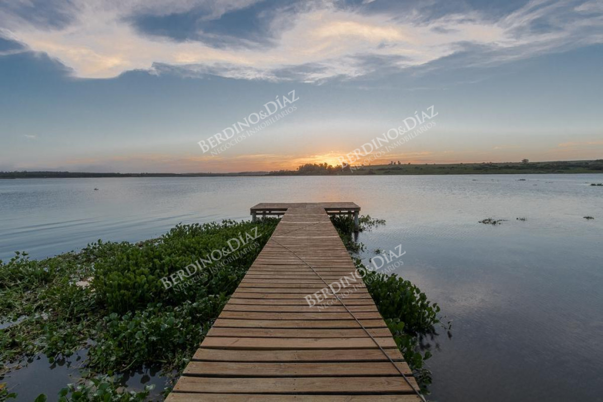 Chacra ID.2199 - Chacra sobre laguna del Sauce en venta