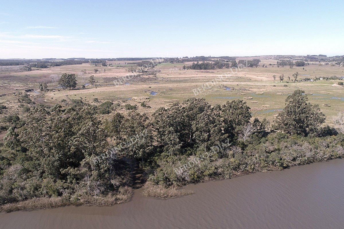 Chacra ID.2362 - Chacra campo en venta Camino Eguzquiza 132 Hectareas