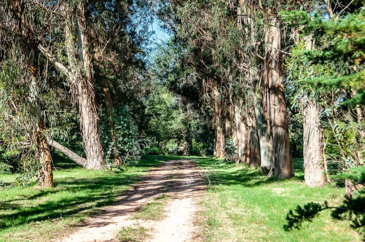 Chacra ID.2312 - Chacra en venta Camino Cerro Eguzquiza 11 hectareas