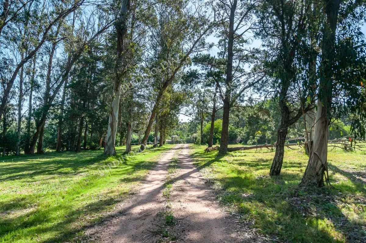 Chacra ID.2312 - Chacra en venta Camino Cerro Eguzquiza 11 hectareas