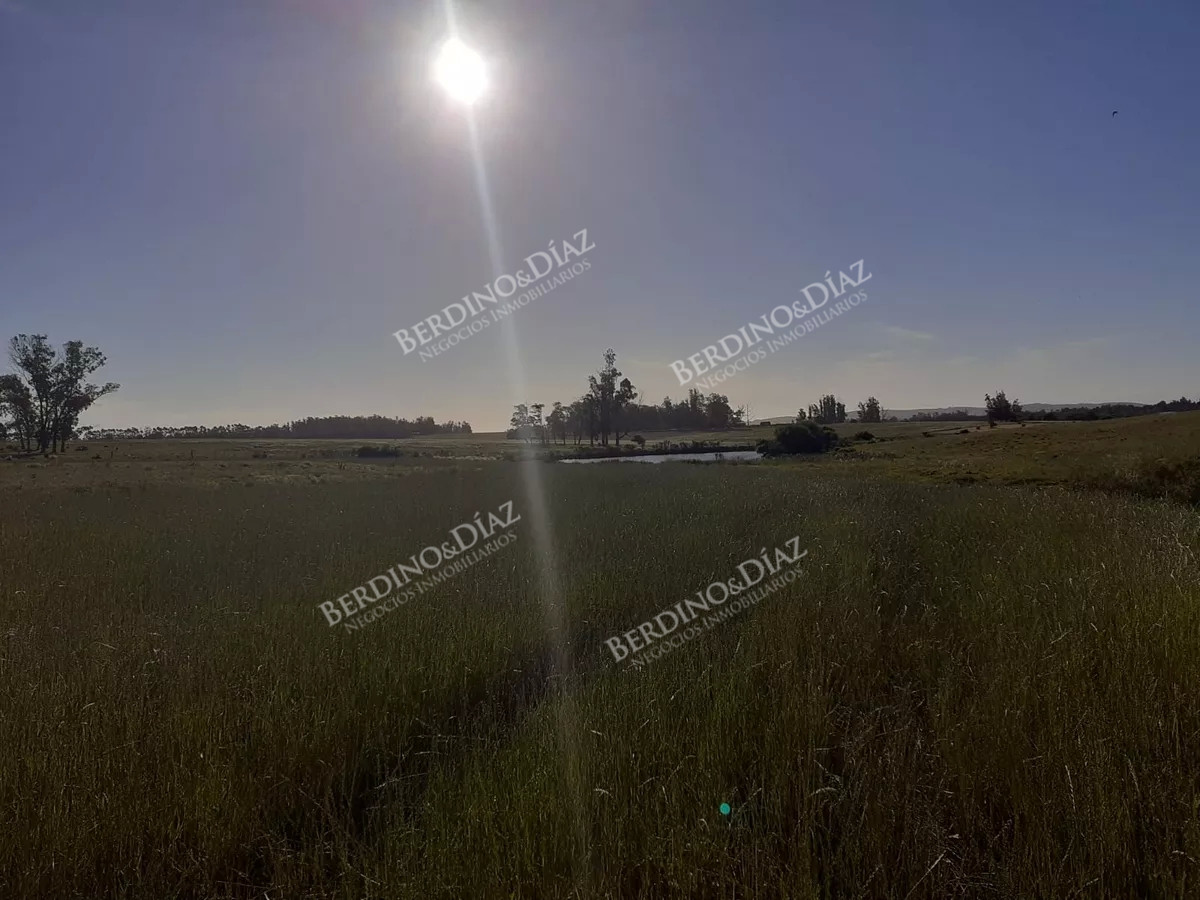 Chacra ID.2347 - Chacra campo en venta de 24 hectareas Ruta 104 La Barra