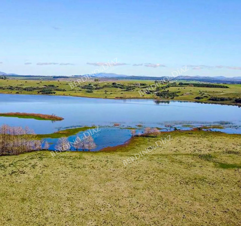 Chacra ID.2339 - 24 hectareas Chacra con 500 metros de costa Laguna del Sauce