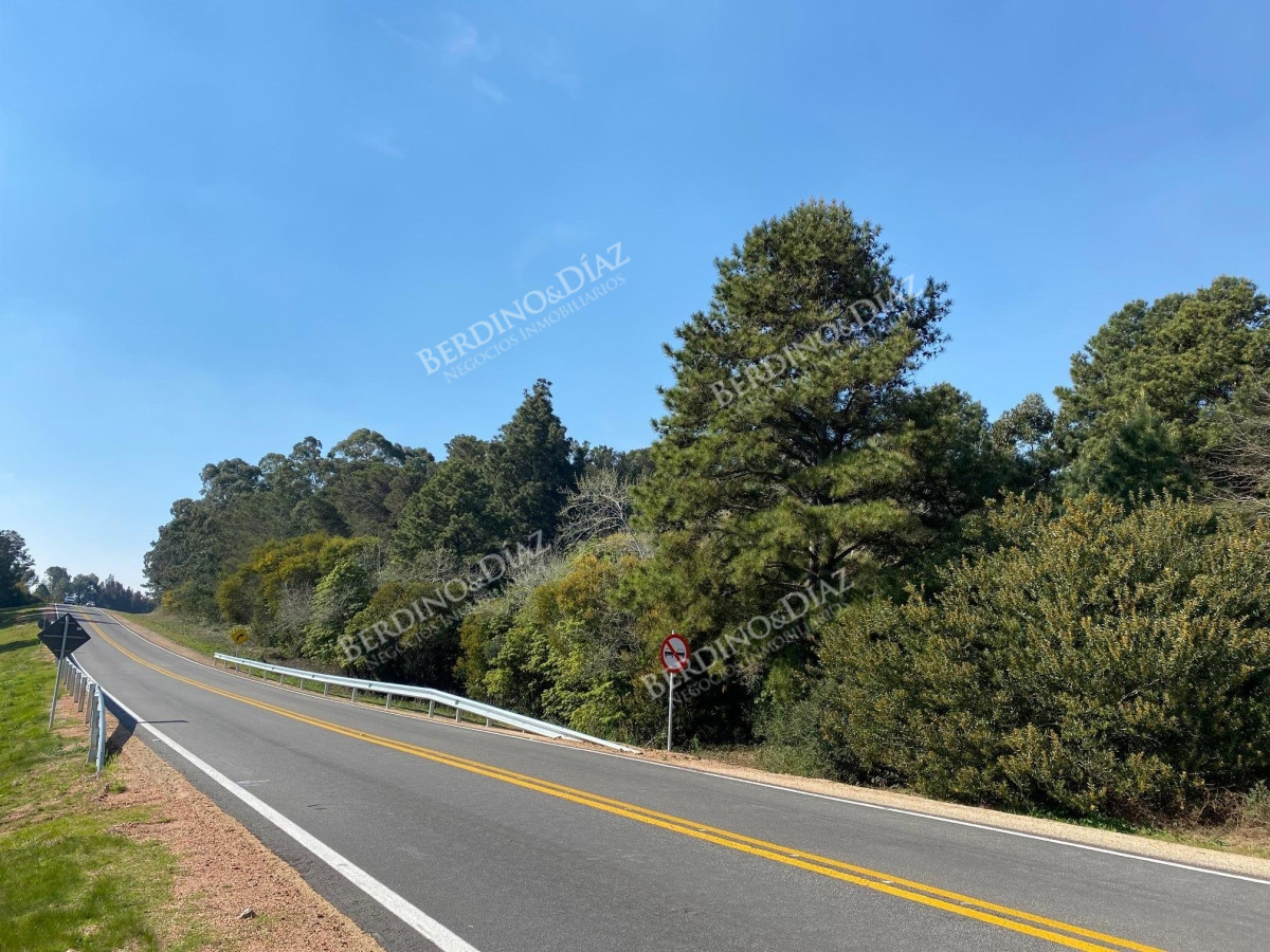 Chacra ID.2373 - Chacra campo 30 hectareas en venta Laguna del Sauce sobre ruta 12