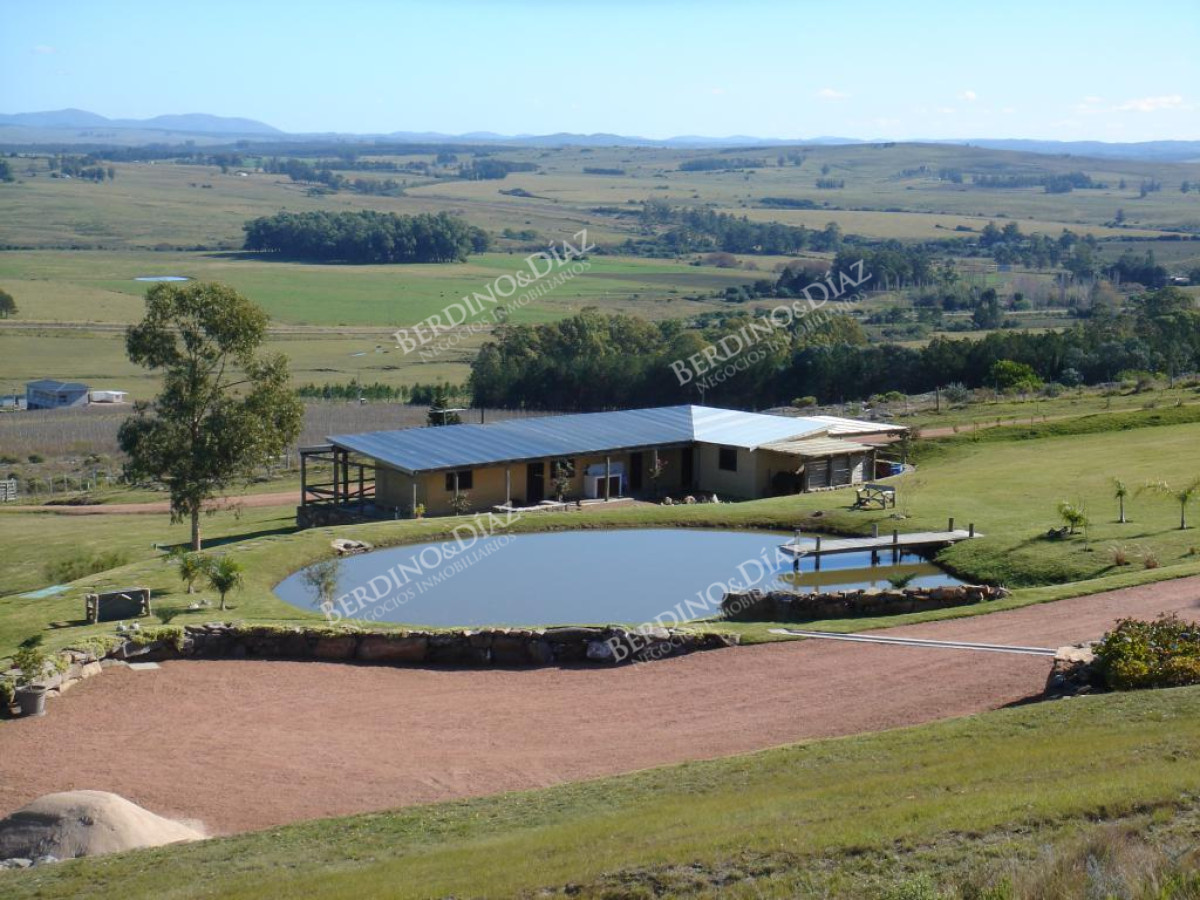 Chacra ID.2372 - Chacra de 22 hectareas en Laguna del Sauce en venta