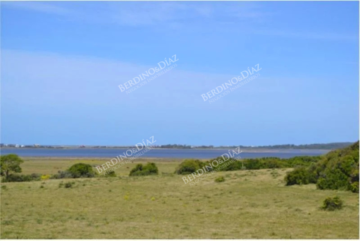 Chacra ID.2288 - CHACRA DE 5 HECTAREAS SOBRE LA LAGUNA JOSE IGNACIO