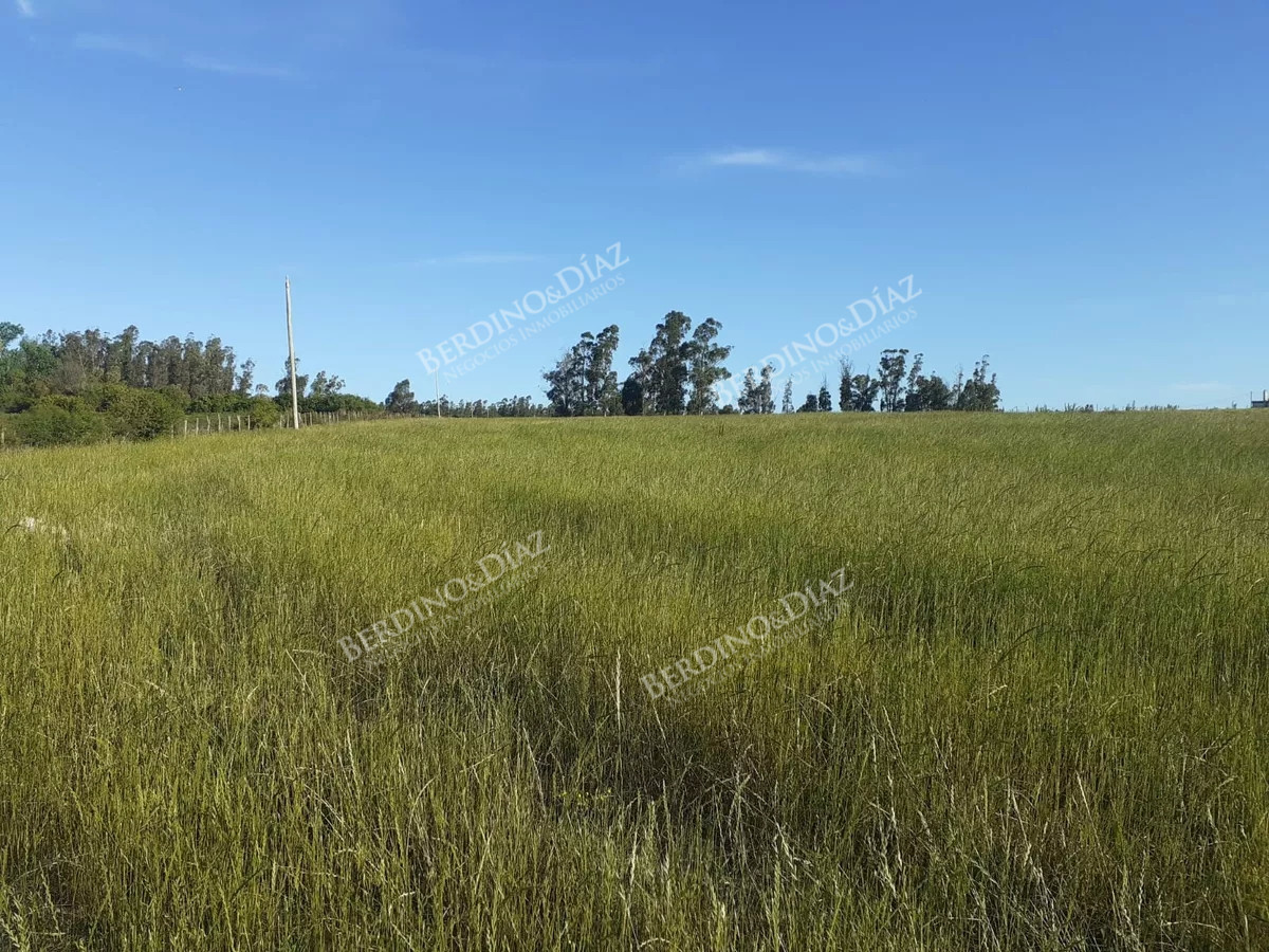 Chacra ID.2347 - Chacra campo en venta de 24 hectareas Ruta 104 La Barra