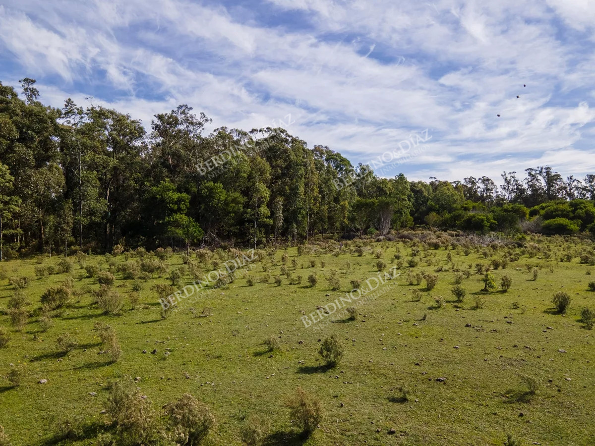 Chacra ID.2344 - Chacra en venta La Barra 8 hectareas sobre ruta 104