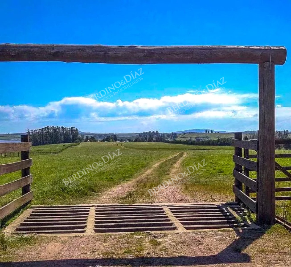 Chacra ID.2338 - Chacra con casa 14 hectareas sobre Laguna del Sauce en venta