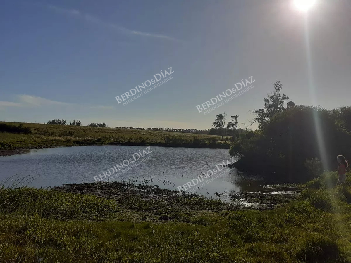 Chacra ID.2347 - Chacra campo en venta de 24 hectareas Ruta 104 La Barra