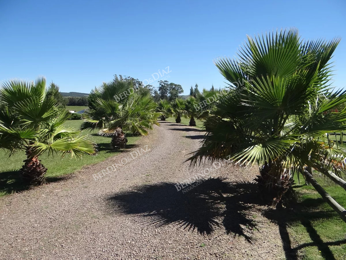 Chacra ID.2345 - Chacra en venta 5 hectareas Pueblo Eden con casa