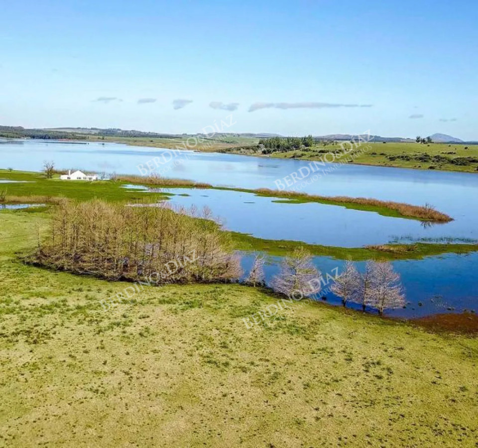Chacra ID.2339 - 24 hectareas Chacra con 500 metros de costa Laguna del Sauce