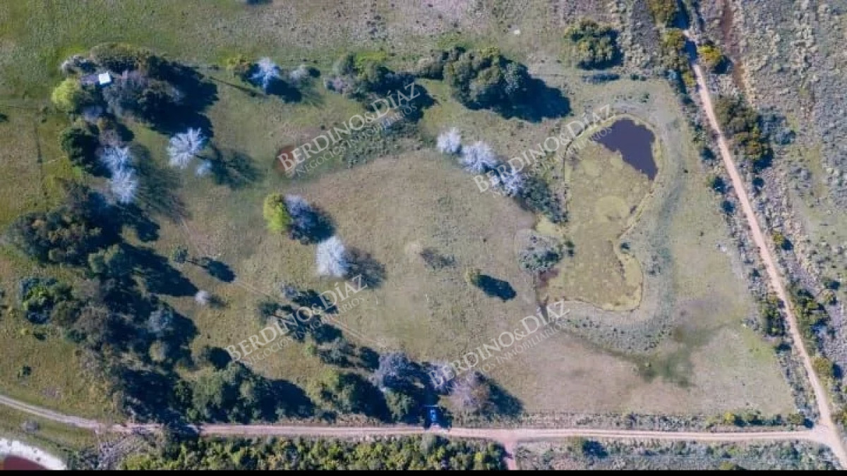 Chacra ID.2348 - Chacra en venta 38 hectareas Laguna del Diario Punta del Este