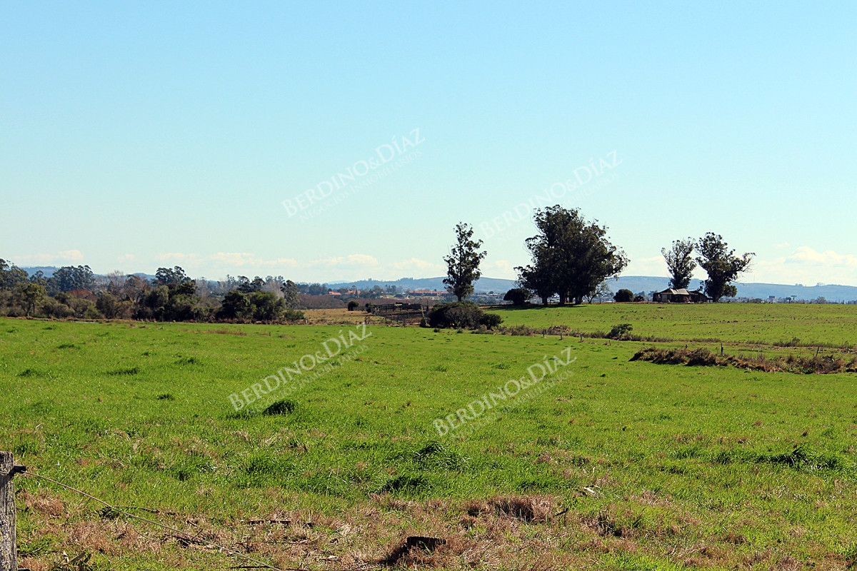 Chacra ID.2362 - Chacra campo en venta Camino Eguzquiza 132 Hectareas