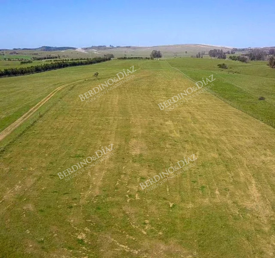 Chacra ID.2338 - Chacra con casa 14 hectareas sobre Laguna del Sauce en venta