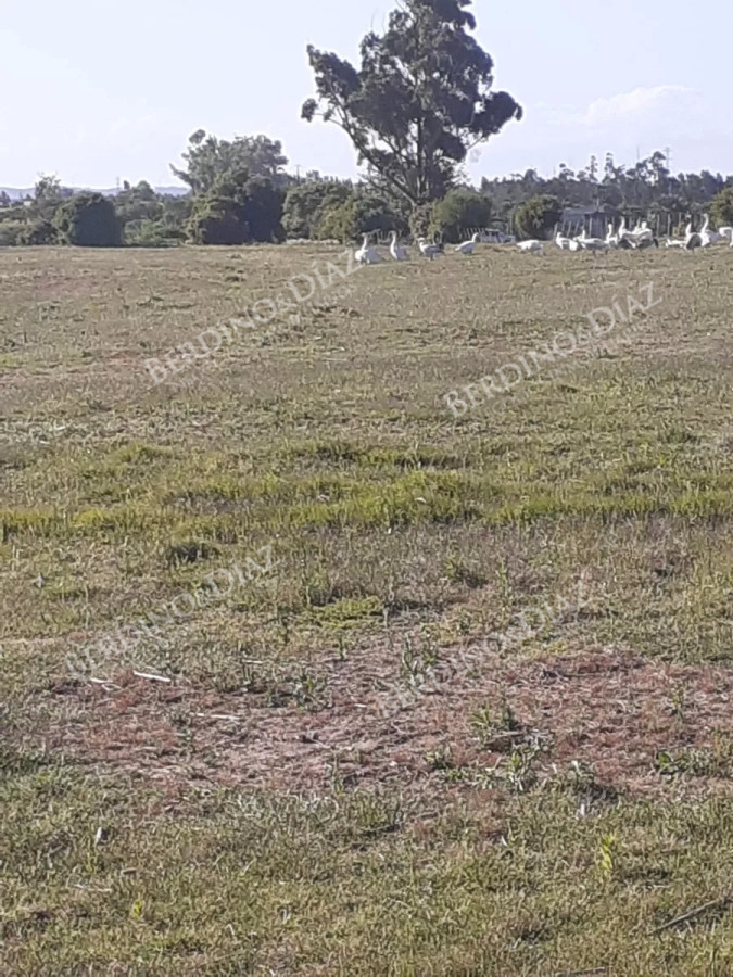 Chacra ID.2347 - Chacra campo en venta de 24 hectareas Ruta 104 La Barra