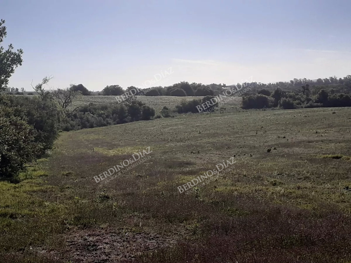 Chacra ID.2347 - Chacra campo en venta de 24 hectareas Ruta 104 La Barra