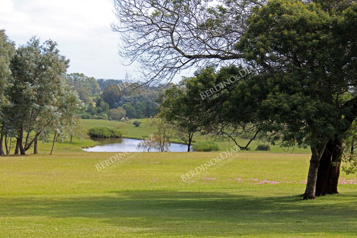 Chacra ID.2358 - Haras chacra espectacular proximo a Golf de La Barra 