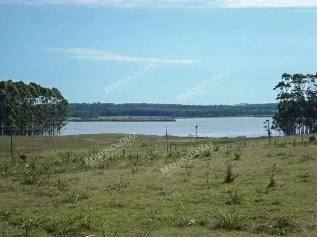 Chacra ID.2338 - Chacra con casa 14 hectareas sobre Laguna del Sauce en venta
