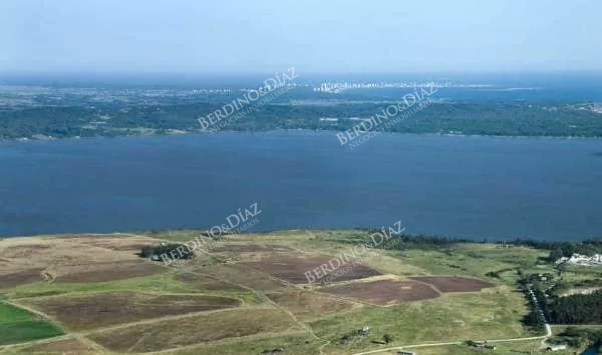Chacra ID.2323 - Chacra en venta 146 Hectareas Laguna del Sauce
