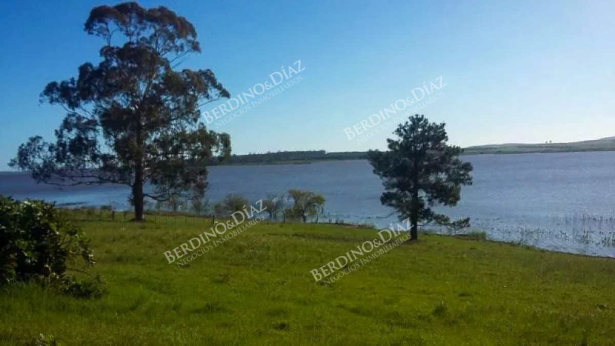 Chacra ID.2338 - Chacra con casa 14 hectareas sobre Laguna del Sauce en venta