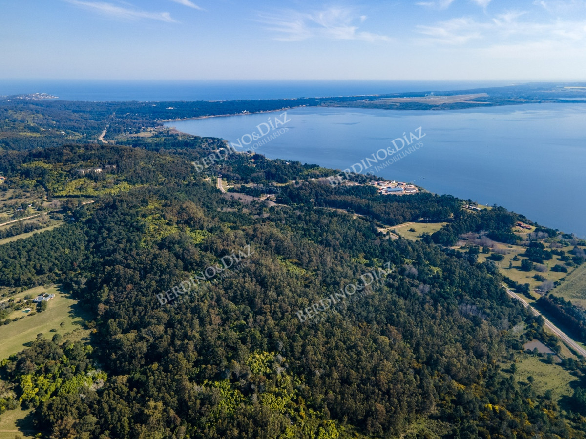 Chacra ID.2373 - Chacra campo 30 hectareas en venta Laguna del Sauce sobre ruta 12