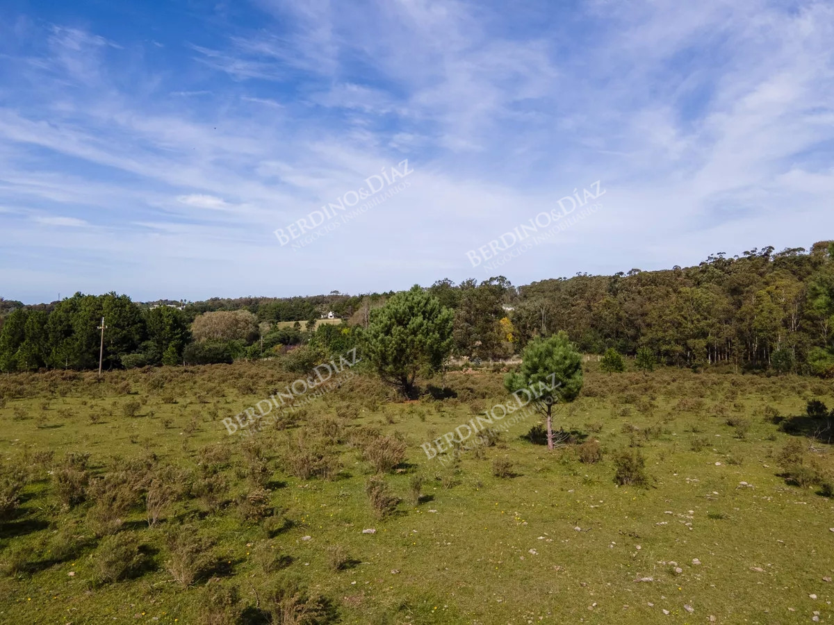 Chacra ID.2344 - Chacra en venta La Barra 8 hectareas sobre ruta 104