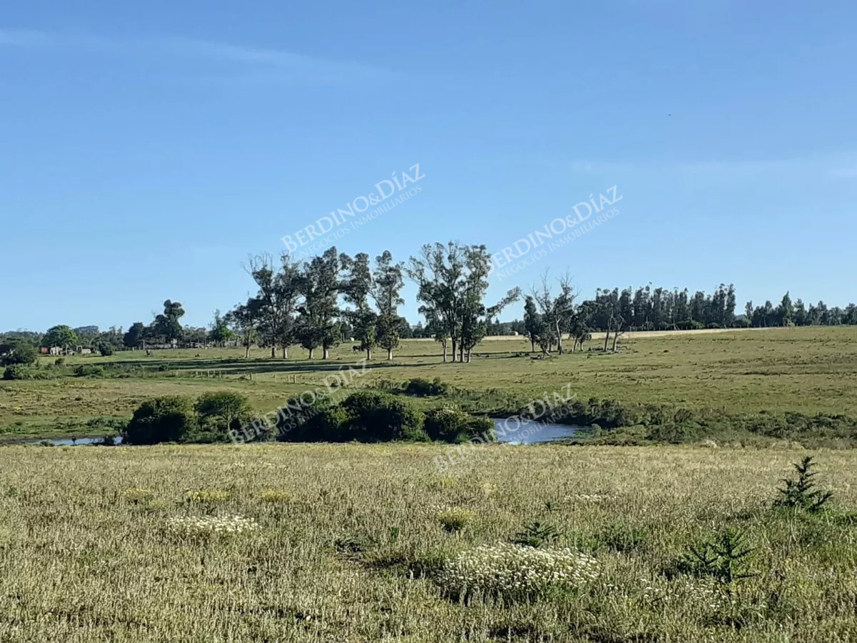 Chacra ID.2347 - Chacra campo en venta de 24 hectareas Ruta 104 La Barra