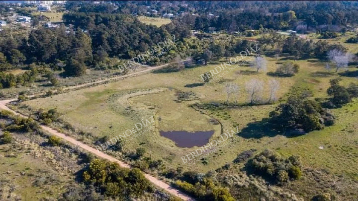 Chacra ID.2348 - Chacra en venta 38 hectareas Laguna del Diario Punta del Este