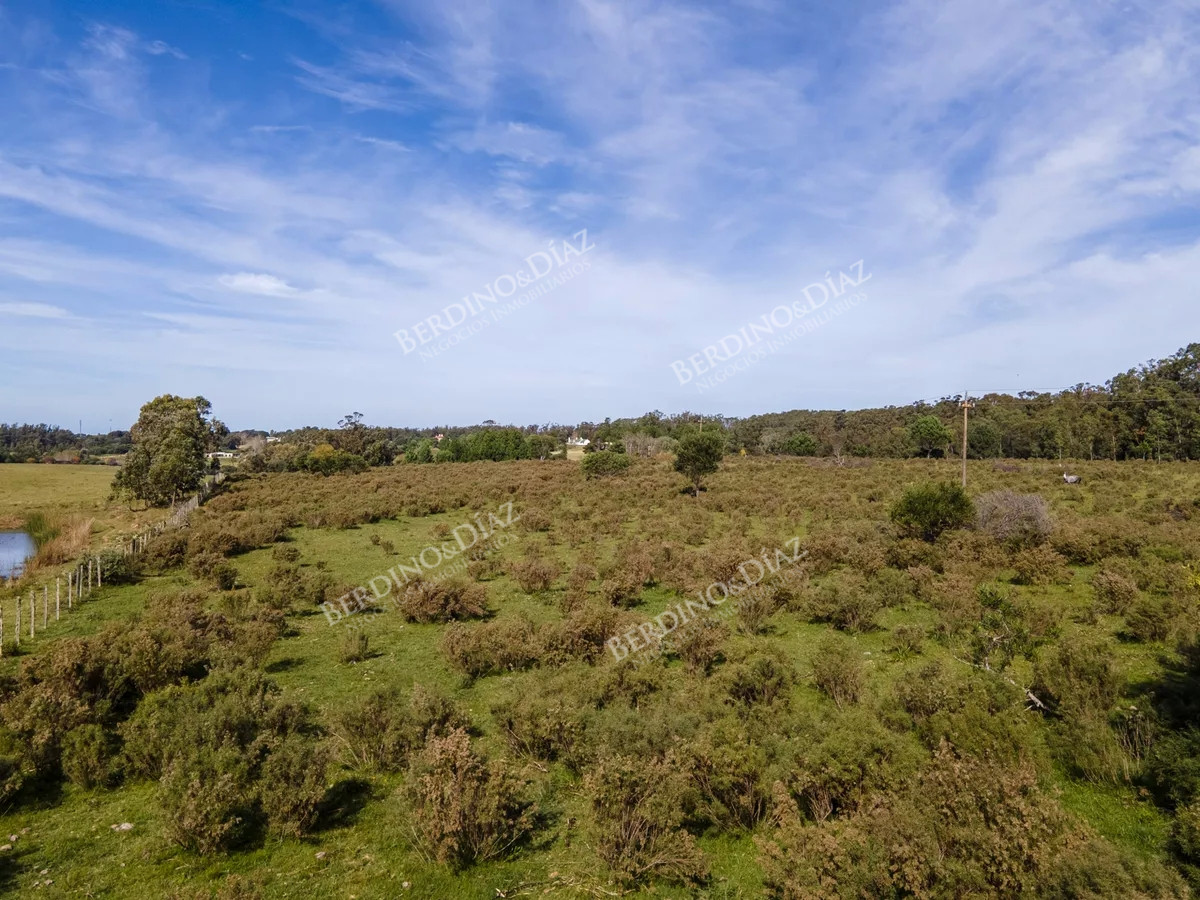 Chacra ID.2344 - Chacra en venta La Barra 8 hectareas sobre ruta 104