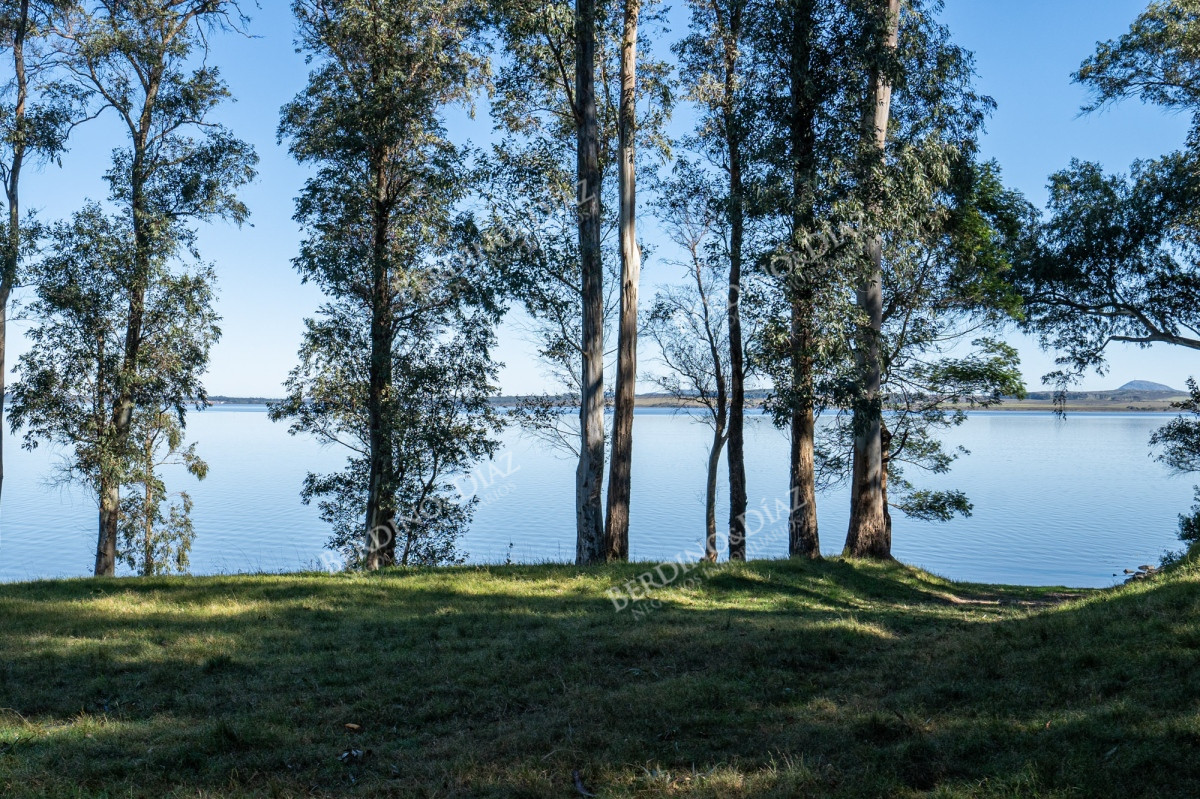 Chacra ID.2379 - Chacra en venta de 7 hectareas en la Bahia de Laguna del Sauce