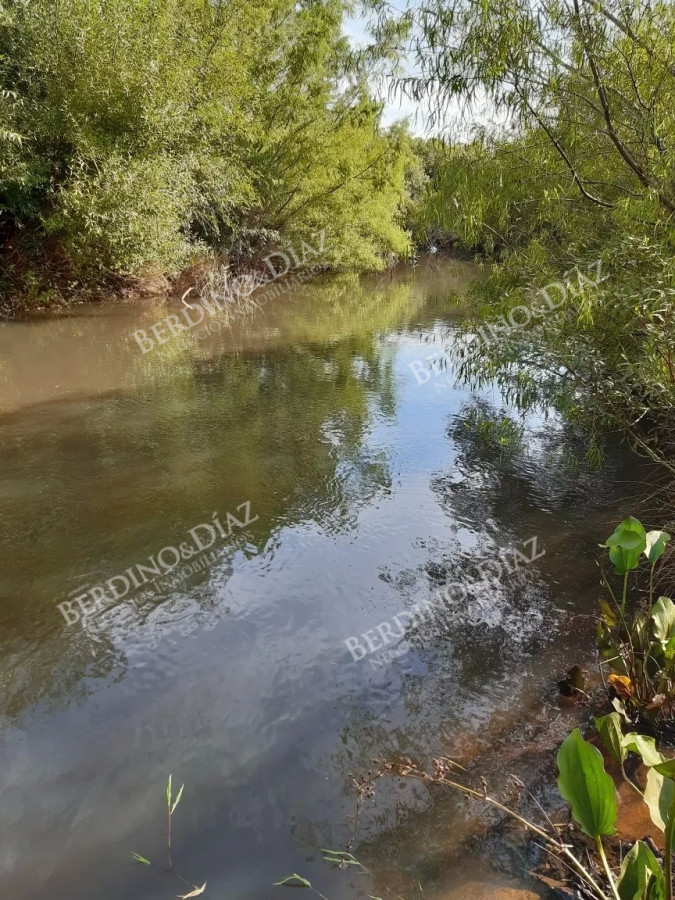 Chacra ID.2108 - Chacra en venta en Las Cañas 5 Hectareas