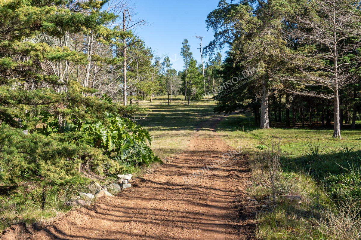 Chacra ID.2379 - Chacra en venta de 7 hectareas en la Bahia de Laguna del Sauce