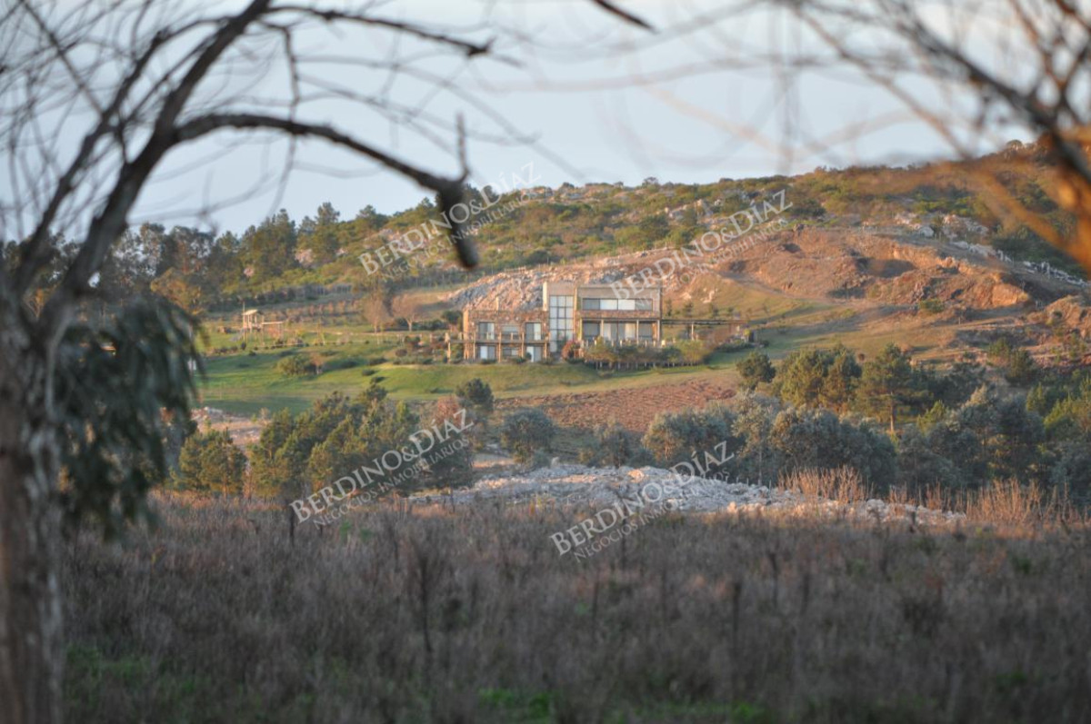 Chacra ID.2372 - Chacra de 22 hectareas en Laguna del Sauce en venta