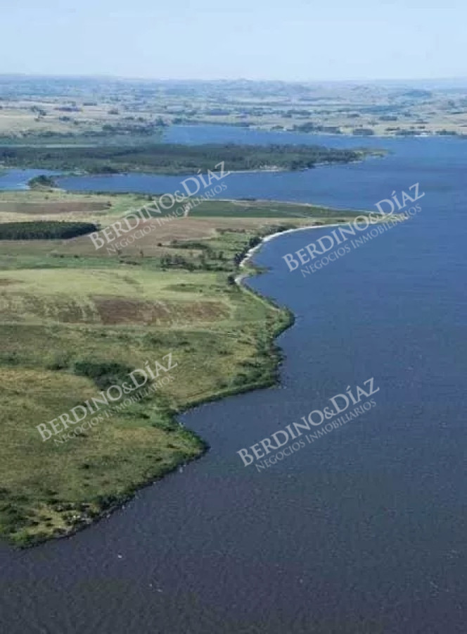 Chacra ID.2323 - Chacra en venta 146 Hectareas Laguna del Sauce