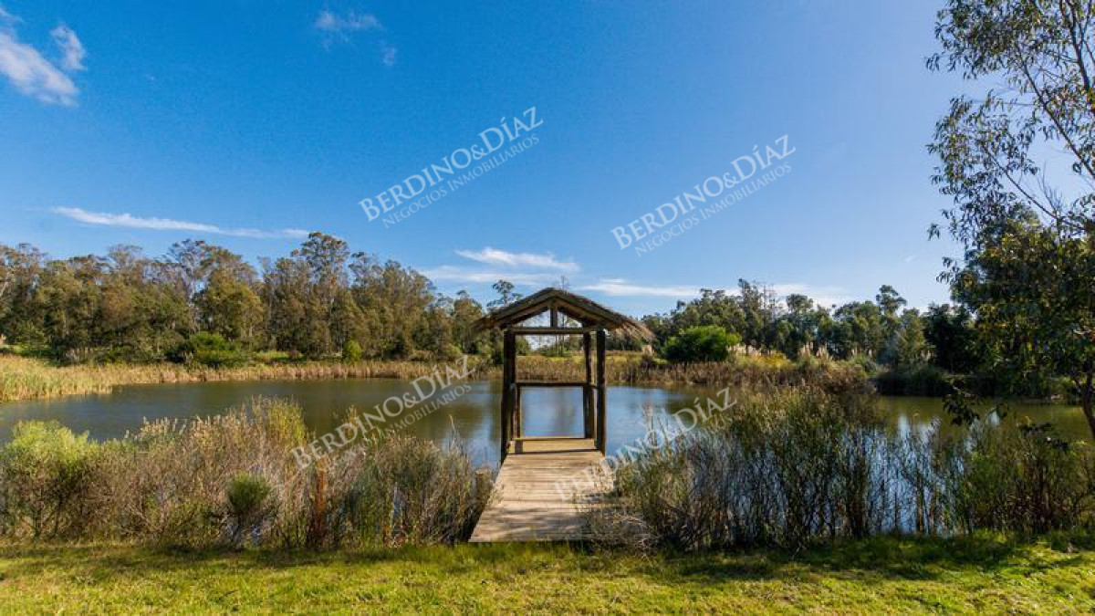 Chacra ID.2125 - Chacra en la Barra Maldonado 2 hectareas y media