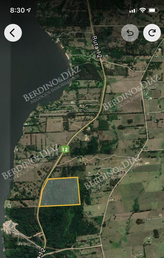 Chacra ID.2373 - Chacra campo 30 hectareas en venta Laguna del Sauce sobre ruta 12