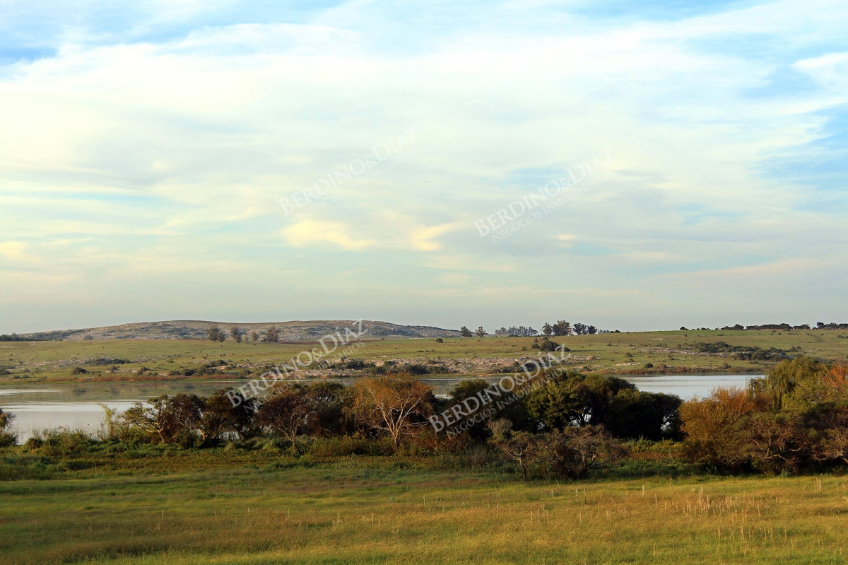 Chacra ID.2378 - Chacra de 7 hectareas en venta Zona Laguna del Sauce Punta Ballena