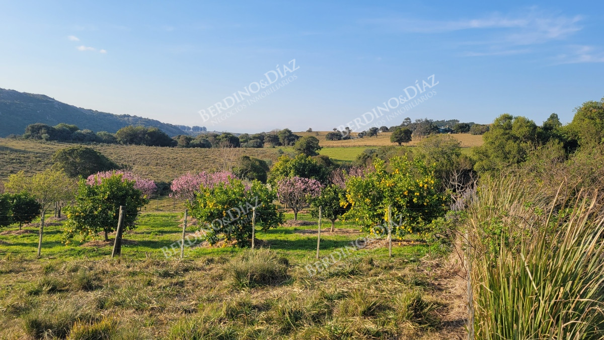 Chacra ID.2375 - Chacra campo de 16 hectareas en venta Zona Pueblo Eden