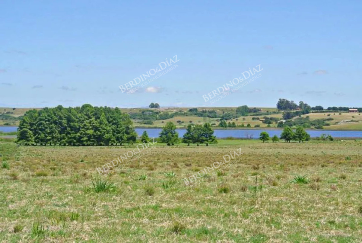 Chacra ID.2339 - 24 hectareas Chacra con 500 metros de costa Laguna del Sauce