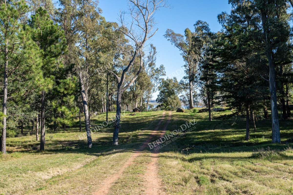 Chacra ID.2379 - Chacra en venta de 7 hectareas en la Bahia de Laguna del Sauce