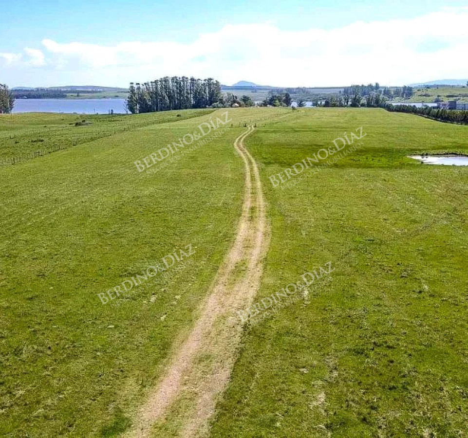 Chacra ID.2338 - Chacra con casa 14 hectareas sobre Laguna del Sauce en venta